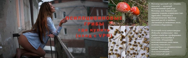 гидропоника Верхний Тагил
