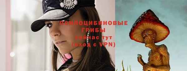 сатива Верхнеуральск